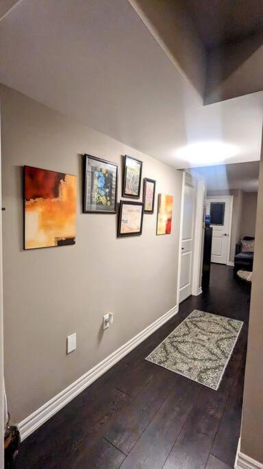 Apartment 1 Bedroom Basement With Separate Entrance